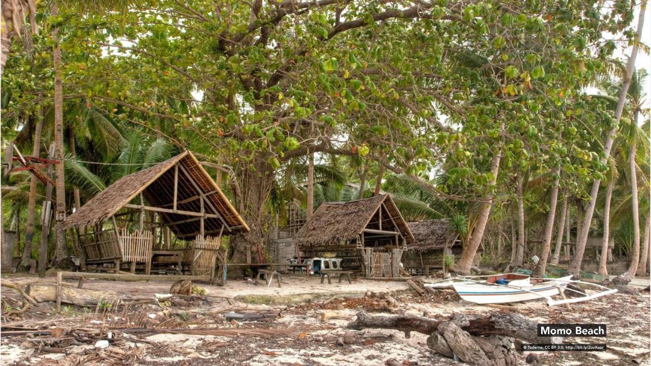 Zen Rooms Greenfields Inn Bohol パングラオ エクステリア 写真